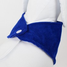 Bandanas pra Cachorro